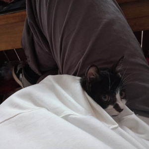 班长张开腿让我❌了一节课视频动漫
