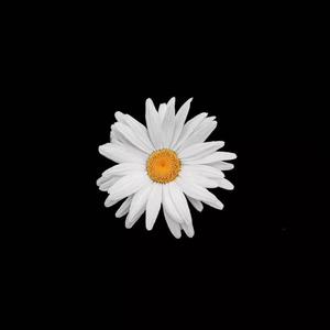 班长张开腿让我❌了一节课视频动漫
